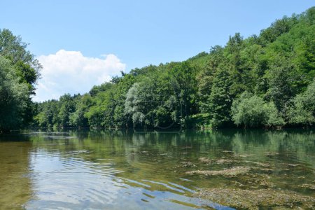 Téléchargez les photos : Detail of river Kupa near Orljakovo in Croatia - en image libre de droit