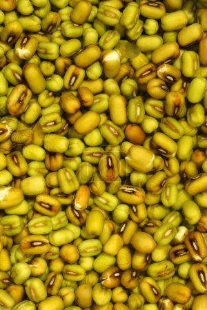 Close up of dry mungo beans soaked in water