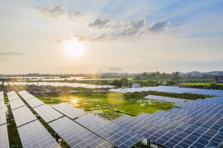 Photo for Solar power plants and rice fields at dusk - Royalty Free Image