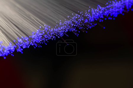 Téléchargez les photos : La fibre optique est isolée sur un fond noir - en image libre de droit