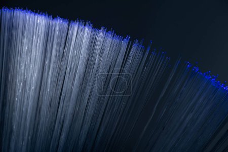 Téléchargez les photos : La fibre optique est isolée sur un fond noir - en image libre de droit