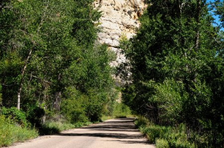 Dirt road in the Sheep Creek National Geologic Area, Utah.