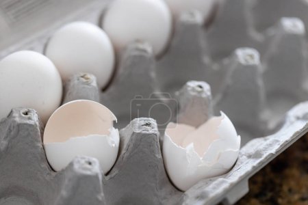 Foto de Carton of White Chicken Eggs and Egg Shells. - Imagen libre de derechos