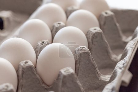 Photo for Carton of White Chicken Eggs. - Royalty Free Image
