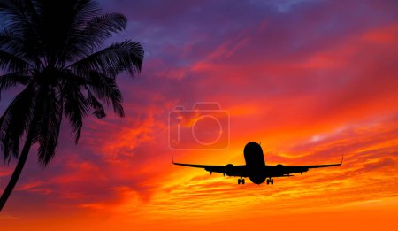 Téléchargez les photos : Passenger Airplane In Approach for Landing with Beautiful Sunset and Tropical Trees and Plants. - en image libre de droit