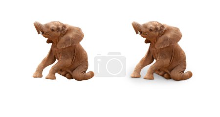 Photo for Baby Elephant Isolated On White With and Without A Shadow. - Royalty Free Image