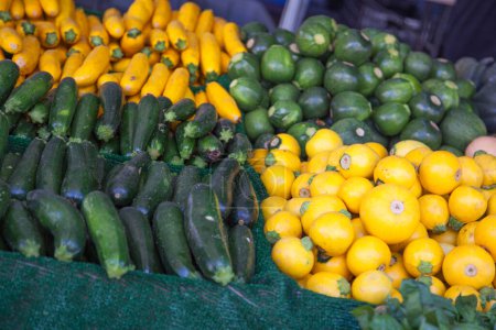 Téléchargez les photos : Sélections fraîchement cueillies de variétés de légumes biologiques exposées au marché fermier. - en image libre de droit