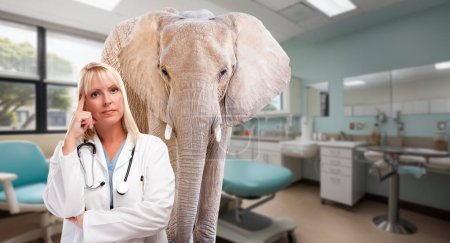 Téléchargez les photos : Médecin blonde féminine sérieuse dans un hôpital avec un éléphant dans la chambre. - en image libre de droit