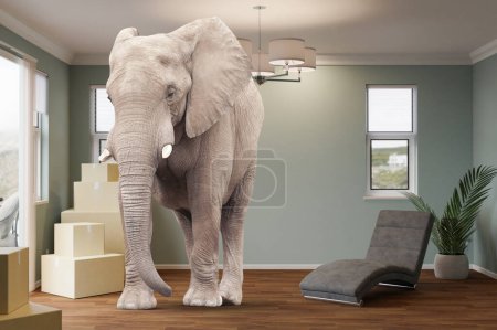 Foto de Cajas móviles de cartón, silla, planta y un elefante en la habitación. - Imagen libre de derechos