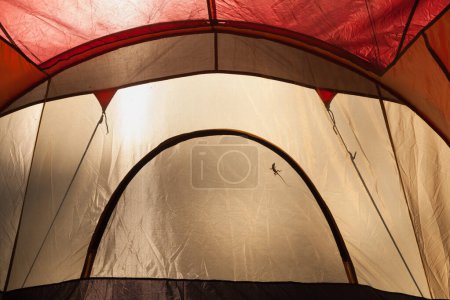 Photo for A Lizard Silhouette Cast on the Inside of A Daylight Lit Camping Tent. - Royalty Free Image