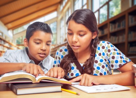 Foto de Dos escolares hispanos estudian con sus libros en una biblioteca - Imagen libre de derechos