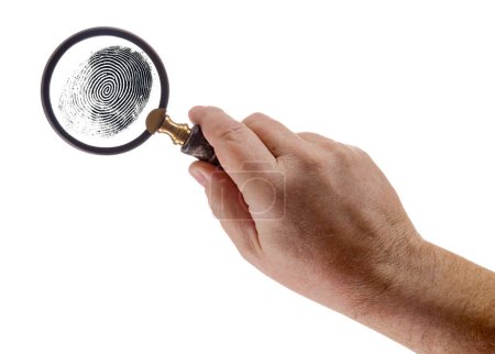 Photo for Male Hand Holding Magnifying Glass Viewing A Fingerprint on a White Background. - Royalty Free Image