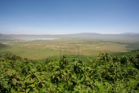 Foto de Paisaje africano en el cráter de Ngorongoro en Tanzania - Imagen libre de derechos