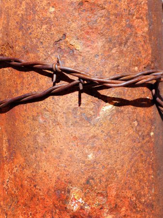 Foto de Detalle de alambre de púas con púas afiladas en poste de metal oxidado - Imagen libre de derechos