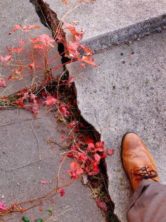 Photo for Detail of man walking on cracked and broken concrete sidewalk with fall leaves - Royalty Free Image
