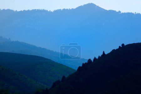 Foto de Capas de montañas y bosques de pinos en la neblina salvaje del humo - Imagen libre de derechos