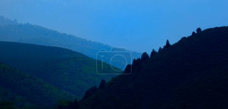 Foto de Capas de montañas y bosques de pinos en la neblina salvaje del humo - Imagen libre de derechos