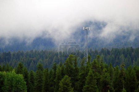 Photo for Cell tower radio antenna for communication phone internet in misty pine forest mountains - Royalty Free Image