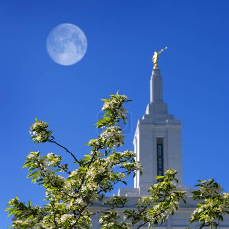 Photo for Pocatello Idaho LDS Temple building Mormon Church of Jesus Christ sacred religious religion building full moon blur - Royalty Free Image