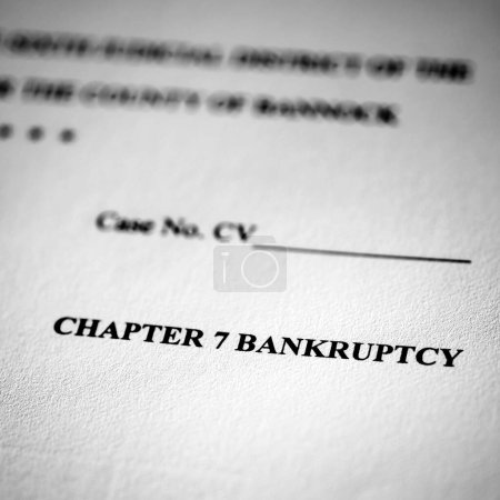 Legal Pleadings Court Papers Law Chapter 7 Bankruptcy