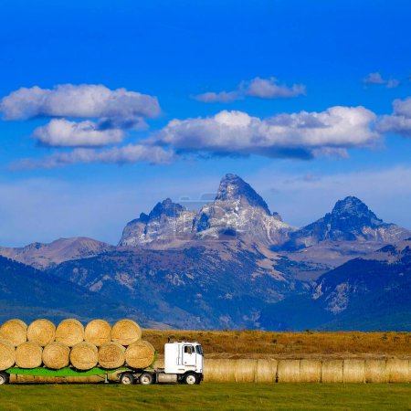 Truck hauling load of freshly harvested hay with Teton Mountains in Background