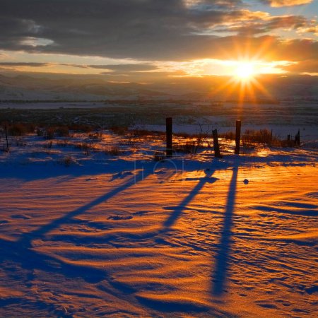 Salida del sol o puesta del sol luz solar en postes de valla que proyectan sombras a través del suelo cubierto de nieve