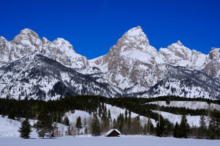 Teton Mountain range in Wyoming in winter snow covered cabin with blue sky and forest of pine trees