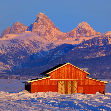 Teton Mountain Massiv in Wyoming im Winter schneebedeckte rote Scheune mit blauem Himmel und Kiefernwald