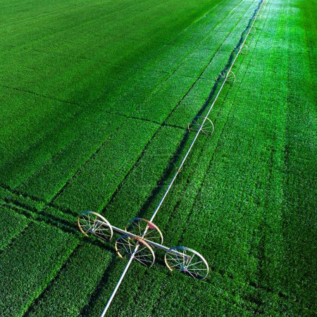 Téléchargez les photos : Vue aérienne à partir d'un drone volant au-dessus d'une ferme verdoyante croissance des cultures avec arroseurs à pivot d'irrigation - en image libre de droit