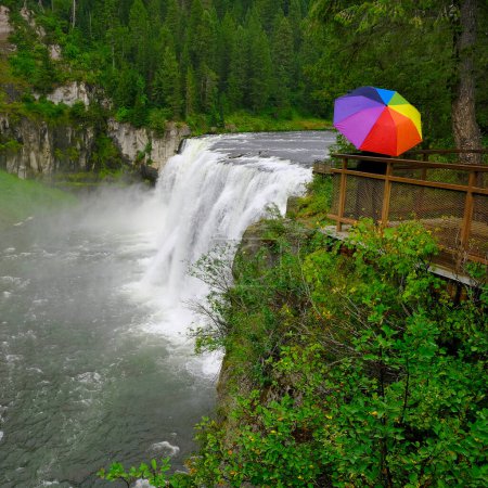 Téléchargez les photos : Personne debout dans la pluie humide avec parapluie arc-en-ciel sur la plate-forme en bois regardant la rivière cascade forêt de pins - en image libre de droit