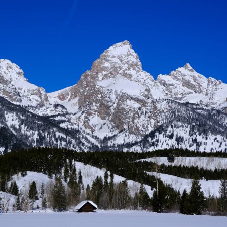 Teton Mountain range in Wyoming in winter snow covered cabin with blue sky and forest of pine trees