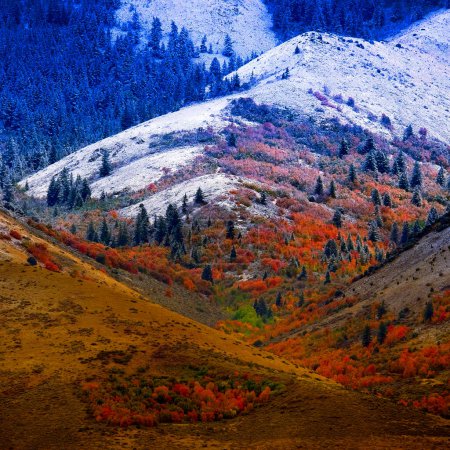 Téléchargez les photos : Paysage de montagne à la fin de l'automne avec couleurs d'arbres d'automne et première neige - en image libre de droit