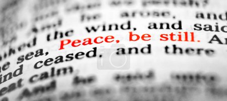 Las Escrituras del Nuevo Testamento de la Biblia la paz sea todavía cita