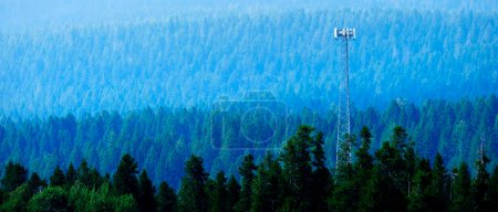 Téléchargez les photos : Radio tour cellulaire haut dans la forêt de pins système de communication en pleine nature - en image libre de droit