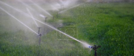 Téléchargez les photos : Gicleurs agricoles conduites d'eau dans les champs pour l'irrigation et l'arrosage des cultures - en image libre de droit