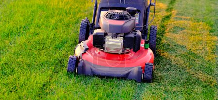 Téléchargez les photos : Red lawn mower in lush green grass mowing lawn cutting - en image libre de droit