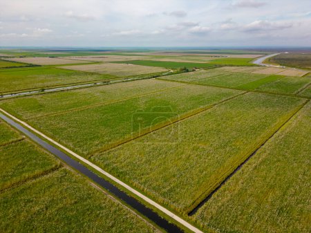 Téléchargez les photos : Vue aérienne des champs et forêts des Pays-Bas - en image libre de droit
