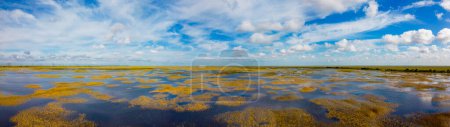 Téléchargez les photos : Photo Aérienne Floride Everglades paysages naturels - en image libre de droit