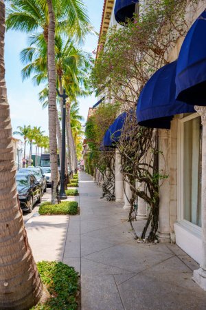 Téléchargez les photos : Vue sur la rue du trottoir Worth Avenue à l'ombre Palm Beach shopping district - en image libre de droit