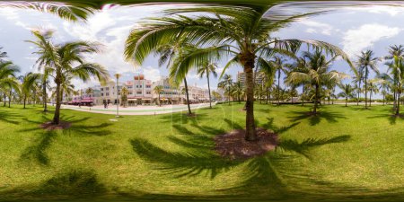 Photo for Lummus Park Miami Beach field of palms - Royalty Free Image