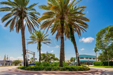 Foto de Stuart, FL, Estados Unidos - 1 de julio de 2023: Palmeras en un círculo de tráfico rodado Stuart Florida - Imagen libre de derechos