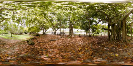 Photo for 360 equirectangular photo of Schenley Park Miami near Coral Gables - Royalty Free Image