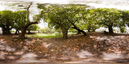 Photo for 360 equirectangular photo of Schenley Park Miami near Coral Gables - Royalty Free Image