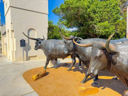Foto de Waco, TX, Estados Unidos - 24 de julio de 2023: Estatua de toros en Waco Texas - Imagen libre de derechos
