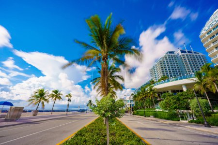 Foto de En medio de la carretera en Fort Lauderdale Beach Florida - Imagen libre de derechos