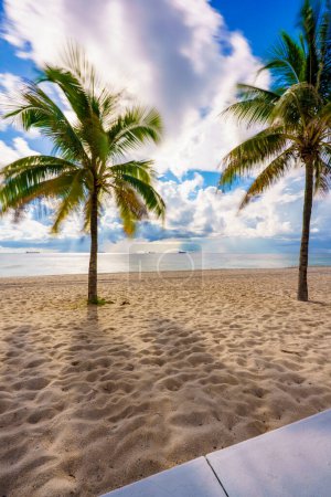 Photo for Stock image tropical summer palms on Fort Lauderdale Beach FL or could be Miami - Royalty Free Image