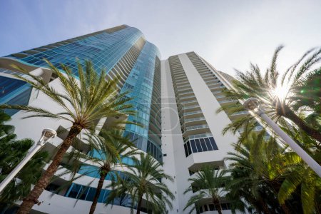 Téléchargez les photos : Lever du soleil tours et palmiers à Fort Lauderdale FL - en image libre de droit