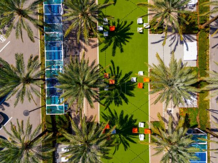 Foto de Foto aérea de un patio de relajación con palmeras y muebles - Imagen libre de derechos