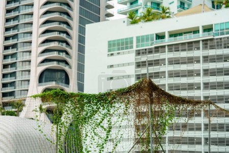 Téléchargez les photos : Vignes naturelles récupérant la ville de la jungle urbaine en béton - en image libre de droit