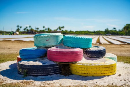 Foto de Neumáticos pintados de colores en un patio de recreo hoyo de arena en un parque - Imagen libre de derechos